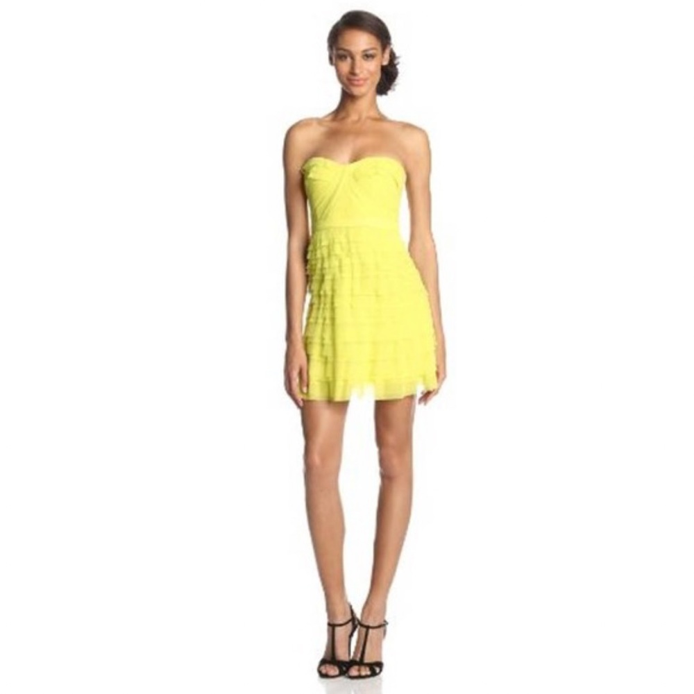 BCBG Fitted Bodycon Ruffled Tube Mini Dress